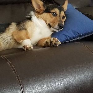 Meet your Posher, Austin